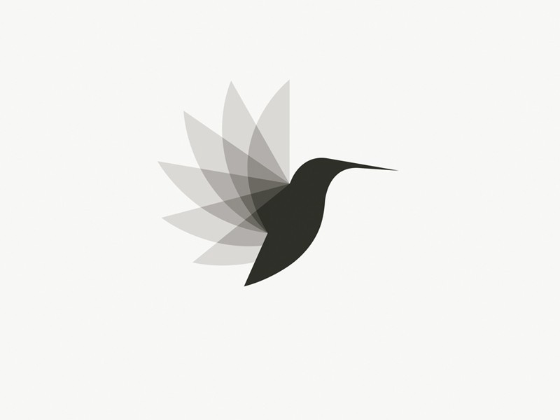 Логотип колибри в движеньи